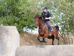 IMG_8350_web